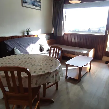 5 Pers Au Pied Des Pistes Avec Wi-fi A - Fr-1-814-93 Apartment *