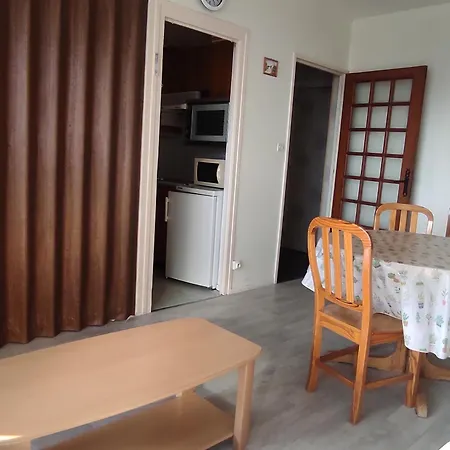 Apartment 5 Pers Au Pied Des Pistes Avec Wi-fi A - Fr-1-814-93