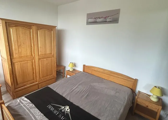 5 Pers Au Pied Des Pistes Avec Wi-fi A - Fr-1-814-93 Apartment Super Besse