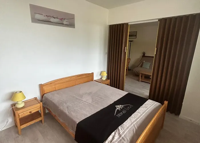 Apartment 5 Pers Au Pied Des Pistes Avec Wi-fi A - Fr-1-814-93 *