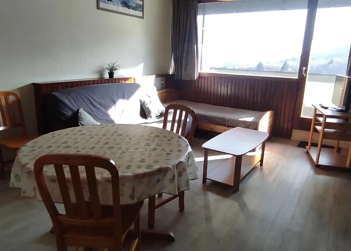 5 Pers Au Pied Des Pistes Avec Wi-fi A - Fr-1-814-93 Apartment *