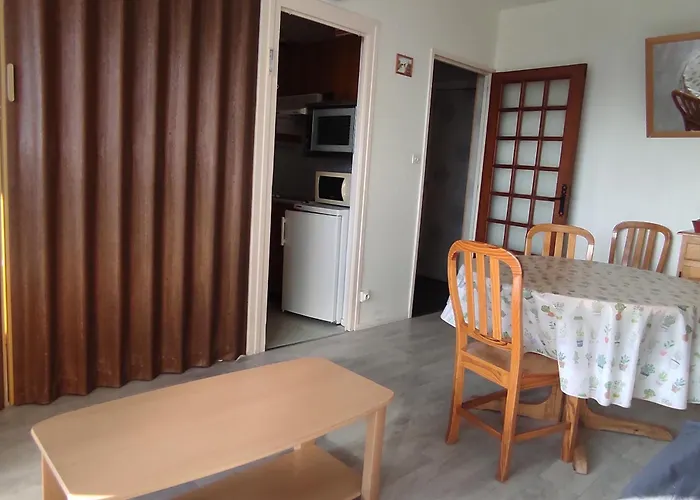 Apartment 5 Pers Au Pied Des Pistes Avec Wi-fi A - Fr-1-814-93