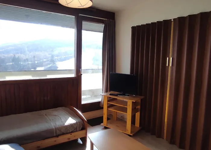 5 Pers Au Pied Des Pistes Avec Wi-fi A - Fr-1-814-93 Apartment